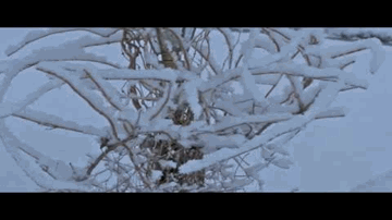 Aaja Tujhe Afsana Lyrics - Cuckoo | Gope | Trilok Kapoor | Noor Jehan