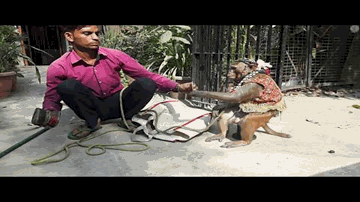 Aana Sajanwa Aana Lyrics - Jayant | Meena | Masood | Geeta Ghosh Roy Chowdhuri (Geeta Dutt)