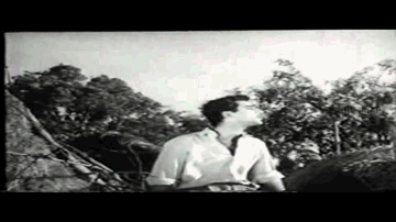 Aao Badal Chain Se Royen Lyrics - Chandrashekhar | Jagirdar | Jayshree T. | Talat Mahmood