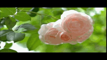 Aate Bata Dahi Chatake Lyrics - Dharmendra | Reena Roy | Mamta Kulkarni | Aroon Bakshi | Kumar Sanu