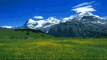 Aayi Basant Rut Lyrics - Ajit | Yakub | Gope | Geeta Ghosh Roy Chowdhuri (Geeta Dutt) | Shamshad