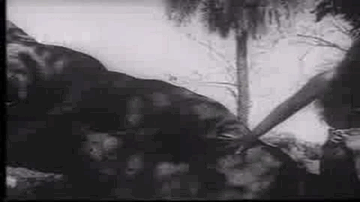 Ab Der Ho Gayi Wallah Lyrics - Mumtaz | Murad | Prithviraj Kapoor | Asha Bhosle