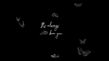 Always Been You Lyrics - Shawn Mendes
