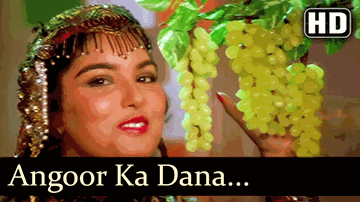 Angur Ka Dana Hoon Lyrics - Salman Khan | Pran | Danny Denzongpa | Kavita Krishnamurthy