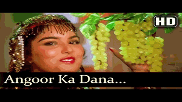 anguur kaa daanaa huuN su_ii naa chubho denaa Lyrics - Pran | Salman | Danny | Kavita Krishnamurthy