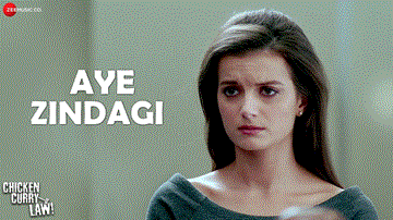 Aye Zindagi Lyrics - Natalia Janoszek | Ashutosh Rana | Makrand Deshpande | Shekhar Sirrinn