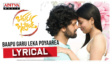 Baapu Garu Leka Poyaarea Lyrics - Karthik