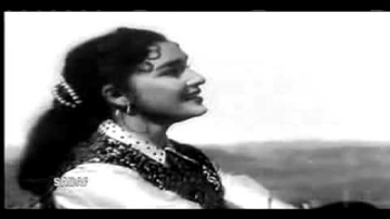 Bade Hain Dil Ke Kaale Lyrics - Shammi Kapoor | Asha Parekh | Mohammed Rafi | Asha Bhosle