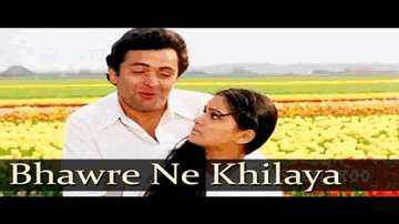 bhaNare ne khilaayaa phuul Lyrics - Rishi Kapoor | Tanuja | Shammi Kapoor | Lata Mangeshkar | Suresh Wadkar