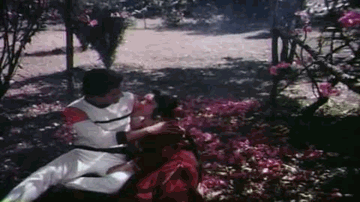 Bindiya Giri Re Lyrics - Dharmendra | Pradeep Kumar | Nutan | Anuradha Paudwal | Shailendra Singh