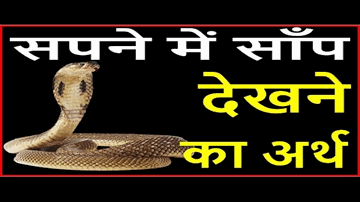Chadhkar Girna Lyrics - Vijay Raaz | Yashpal Sharma | Kashmira Shah | Kavita Krishnamurthy