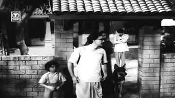 chal uD jaa re panchhii ki ab ye desh huaa begaanaa Lyrics - Nanda | Balraj Sahni | Pandharibai | Mohammad Rafi