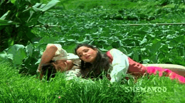 Chalo Chalo Chale Dur Kahin Lyrics - Rishi Kapoor | Govinda | Shakti Kapoor | Kavita Krishnamurthy | Mohammed Aziz