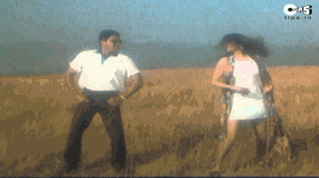 Chehra Apna Lyrics - Ayub Khan | Varsha Usgaonkar | Anjana Mumtaz | Alka Yagnik | Kumar Sanu