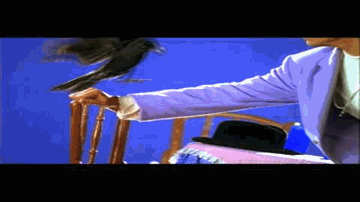 Chhat Par Kala Kauva Baitha Lyrics - Anupam Kher | Juhi Chawla | Anil Kapoor | Shiamak Davar
