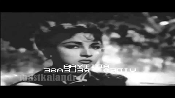 Chhodiye Gussa Huzur Lyrics - Mala Sinha | Johnny Walker | Pradeep Kumar | Mohammed Rafi