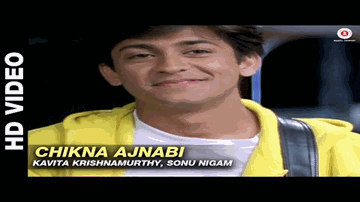 Chikna Ajnabee Lyrics - Neelu Kohli | Imran Ahmed Khan | Sonali Khare | Kavita Krishnamurthy | Sonu Nigam