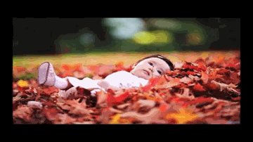 Chubhte Hain Phool Lyrics - Gulshan Grover | Kabir Bedi | Mithun Chakraborty | Alka Yagnik | Vinod Rathod