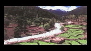 Dharti Hamari Lyrics - Zohaib Hassan