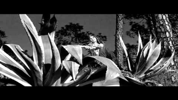 Dil Dhadke Chunariya Sarke Lyrics - Shashi Kapoor | Felicity Kendal | Geoffrey Kendal | Mubarak Begum