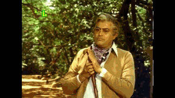 Dil Dhoondhta Hai Phir Wahi Lyrics - Bhupinder Singh | Bhupinder