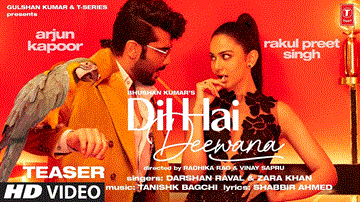 Dil Hai Deewana Lyrics - Darshan Raval | Zara Khan