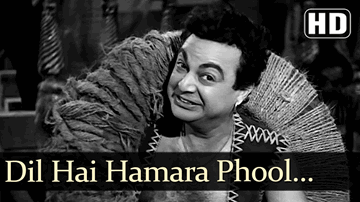 Dil Hai Humara Phul Se Nazuk Lyrics - Randhir Kapoor | Mumtaz | Dara Singh Randhawa | Mohammed Rafi