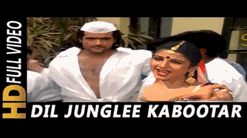 dil jangalii kabuutar hoy hoy Lyrics - Sonali | Sunny | Sunil Shetty | Udit Narayan | Sadhana Sargam