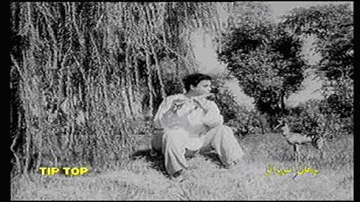 dil kii baat bataaen kis ko Lyrics - Shamim Ara | Santosh Kumar | Noor Jehan