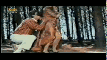 Dil Ko Bewaja Lyrics - Aditya Pancholi | Jitendra | Mahesh Anand | Abhijit | Alka Yagnik