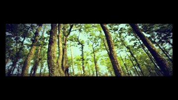 Dil Pukare Lyrics - Kirti Kulhari | Ashwin Mushran | Benjamin Gilani | Arfaaz Kagalwala
