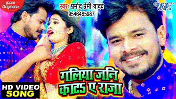 Galiya Jani Kata Ae Raja Lyrics - Pramod Premi Yadav