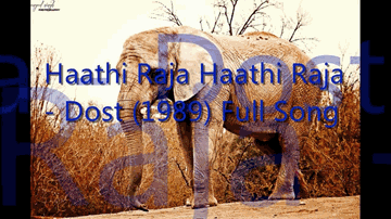 Haathi Raja Haathi Raja Lyrics - Asrani | Amjad Khan | Vikas Anand | Alka Yagnik