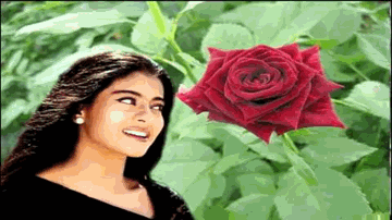 Haseena Haseena Lyrics - Alok Nath | Nishant | Raza Murad | Asha Bhosle | Udit Narayan