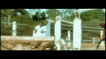 Himmat Kabhi Na Todenge Lyrics - Ajay Devgan | Amitabh Bachchan | Ashish Vidyarthi | Sudesh Bhosle