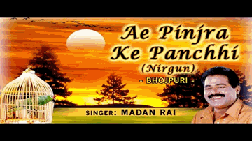Hum Bhant Bhant Ke Panchhi Hai Lyrics - Pradeep Kumar | Nanda | Jayshree Gadkar | Lata Mangeshkar | Usha Mangeshkar