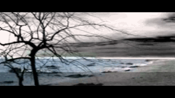 Hum Khushi Ki Chah Mein Lyrics - Aftab Shivdasani | Mohnish Behl | Rajat Bedi | Zubeen Garg