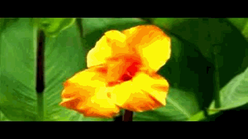 Hum Teri Gali Se Dur Chale Lyrics - Krishna Goyal