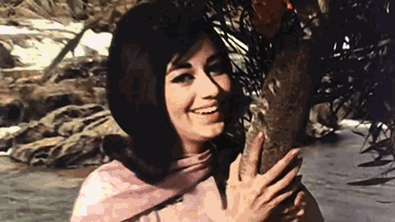 Hum To Tere Aashiq Hain Sadiyon Purane Lyrics - Raaj Kumar | Mohan Choti | Aruna Irani | Lata Mangeshkar | Mukesh
