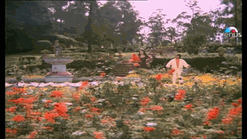 Hum Tujh Par Shaida Huye Lyrics - Nirupa Roy | Aruna Irani | Shakti Kapoor | Asha Bhosle | Kishore Kumar