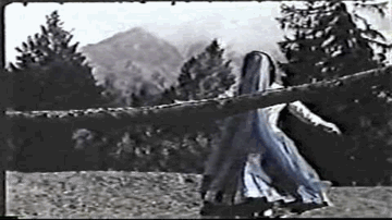Humne Jinke Khwab Lyrics - Dev Sharma | Pran | Seema Deo | Mohammed Rafi