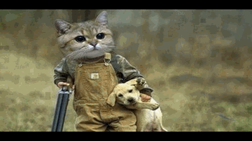 I Am A Cool Cat Lyrics - Shaan | Subhiksha