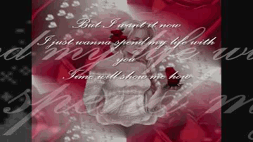 I Just Wanna Spend My Life With You Lyrics - Uday Chopra | Richa Pallod | Tanisha Mukherjee | Clinton Cerejo | Dominique Cerejo