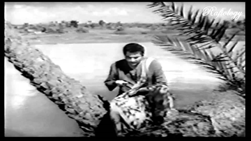 Is Bhari Duniya Mein Lyrics - Guru Dutt | Asha Parekh | Mehmood | Mohammed Rafi