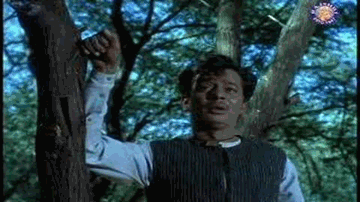 Jaata Hoon Main Lyrics - Mumtaz | Tanuja | Rehman | Mohammed Rafi