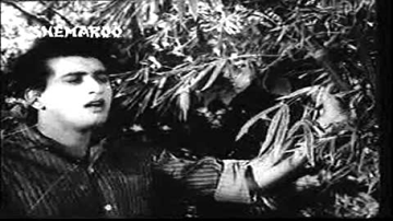 Jab Chhaye Kabhi Lyrics - Manoj Kumar | Helen | Sulochana | Talat Mahmood