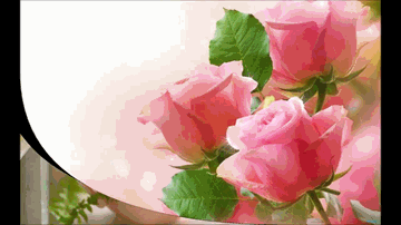 Jab Se Mili Tujhse Lyrics - Shashikala | Agha | Manju | Mohammed Rafi