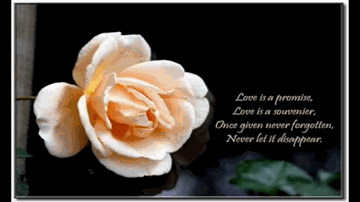 Jane Dil Jane Tamanna Lyrics - Ghulam Ali | Ustad Ghulam Ali