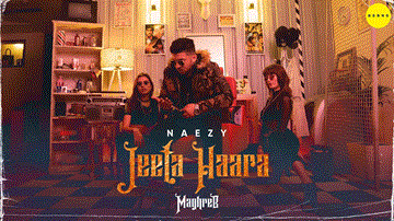 Jeeta Haara Lyrics - Naezy