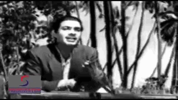 Jhoome Re Nilaa Ambar Lyrics - Nirupa Roy | Mala Sinha | I.S. Johar | Talat Mahmood